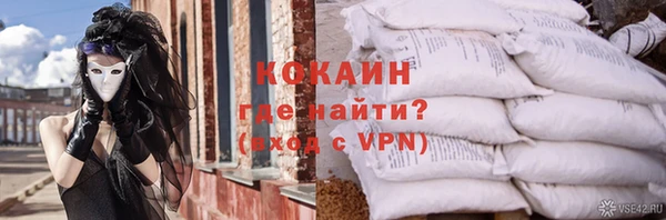 молекула духа Елабуга