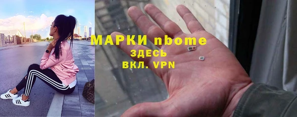 сатива Балахна