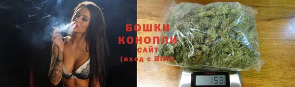 прущие грибы Баксан