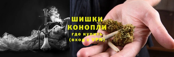 прущие грибы Баксан