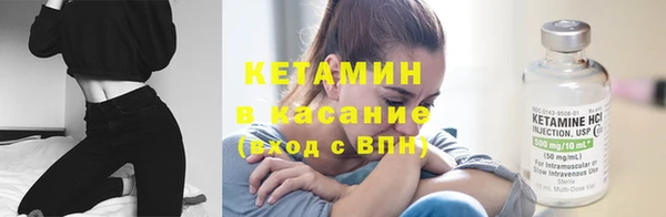 прущие грибы Баксан