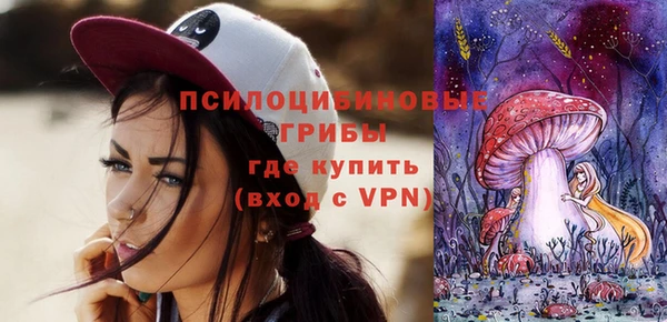 сатива Балахна