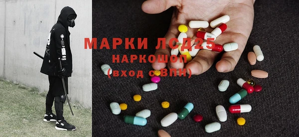 прущие грибы Баксан