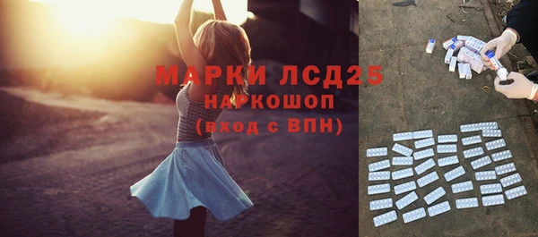 сатива Балахна